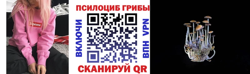 Купить где  Губкин  Галлюциногенные грибы MAGIC MUSHROOMS 